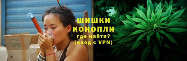 гидра Абаза