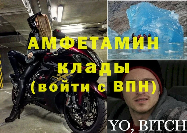 гидра Абаза